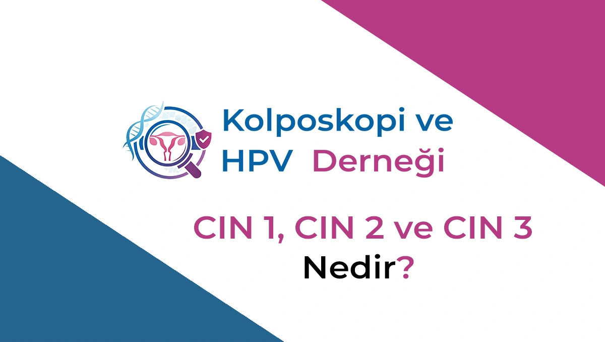 cin-1-cin-2-cin-3-nedir